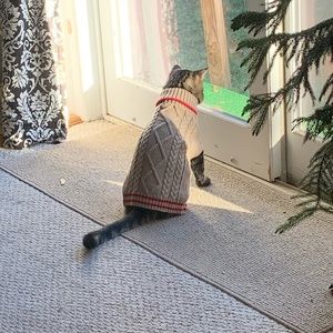 Meet your Posher, Christopher